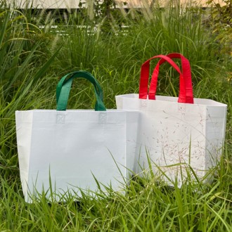 ������Ʈ����������