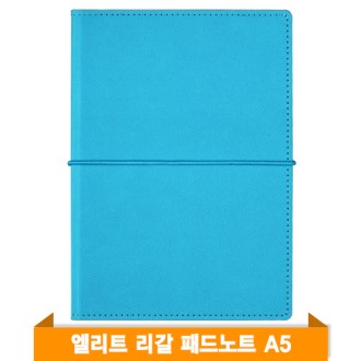 ����Ʈ �����е� ��ƮA5 (��ī�̺���)