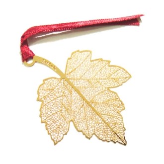 �ŵ� å����