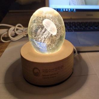 ���ĸ� �����