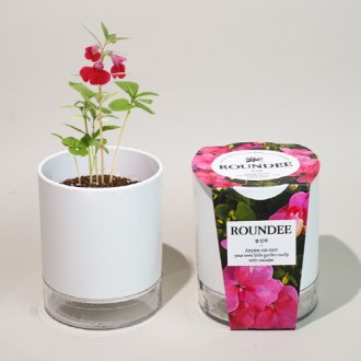 ���� ȭ�� ����-����ȭ