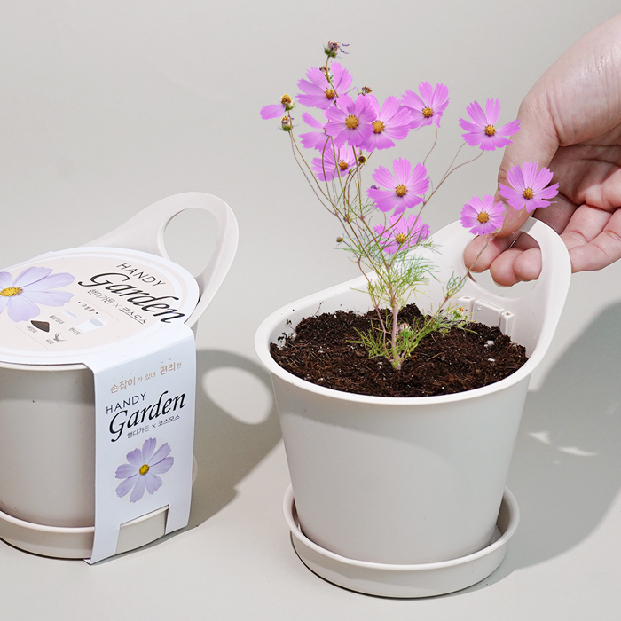 �ڵ𰡵�-�ڽ���