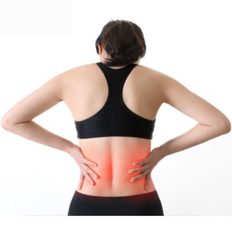 �㸮��ȣ��, �±� �㸮��ȣ��, �丣���� ��ȣ��, ��ü�߿� ��ȣ��