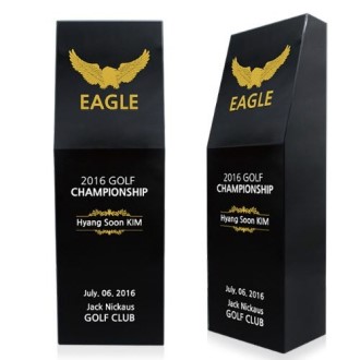 KC367 ������ǽ� ���� ���� ũ����Ż Ʈ���� 6