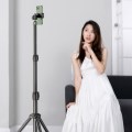 ��Ʈ�� ���� �޴��� ��ī�� �ﰢ�� 55cm CBH673